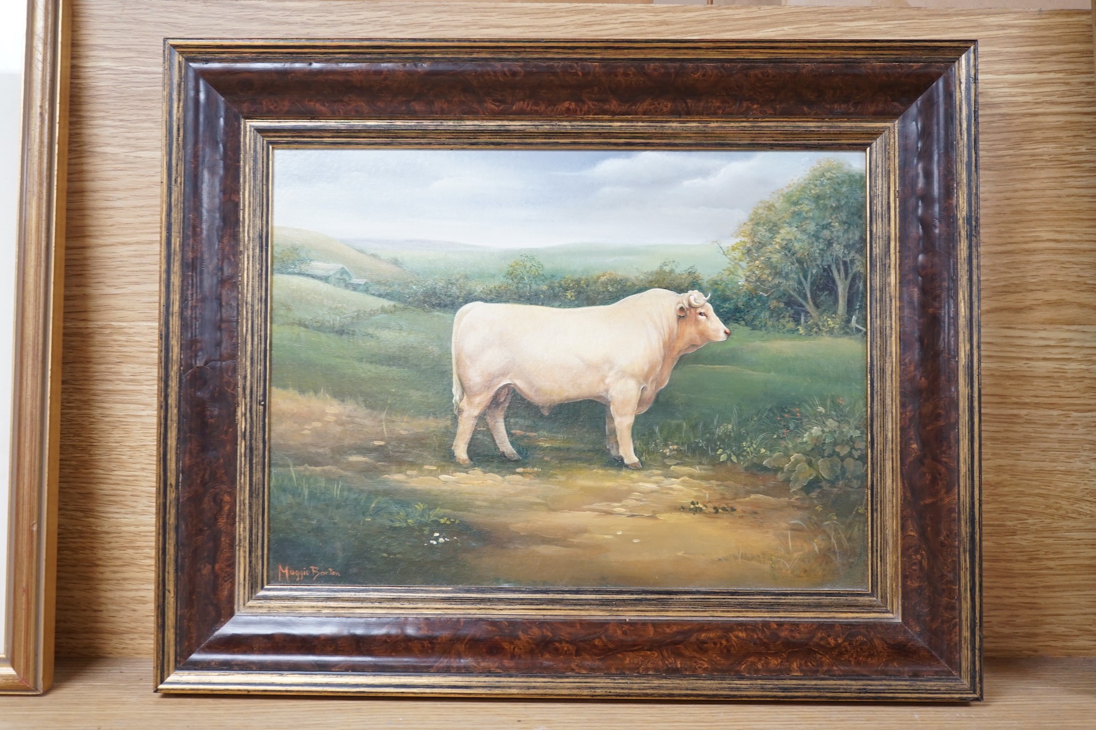 Maggie Barton, oil on board, Prize bull in a landscape, signed, 21 x 29cm